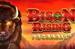 Bison Rising Megaways Slots